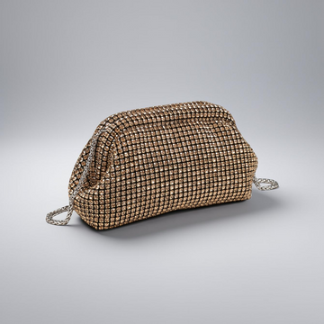 Evening Rhinestone bag